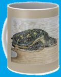 Sea Turtle Honu Mug Hawaii aloha Gift Idea $0.00